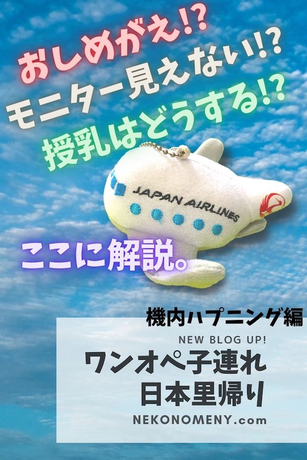 子供に無料でもらえるJAL飛行機のキーホルダーが空を飛んでいる